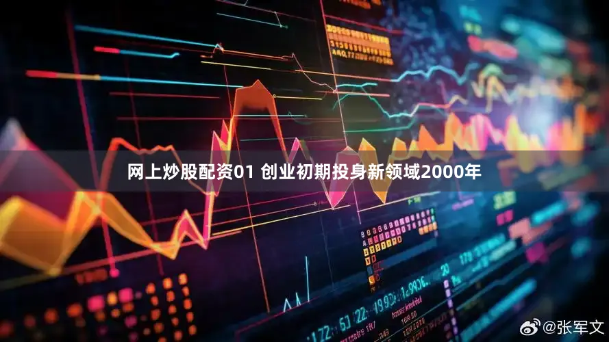 网上炒股配资01 创业初期投身新领域2000年